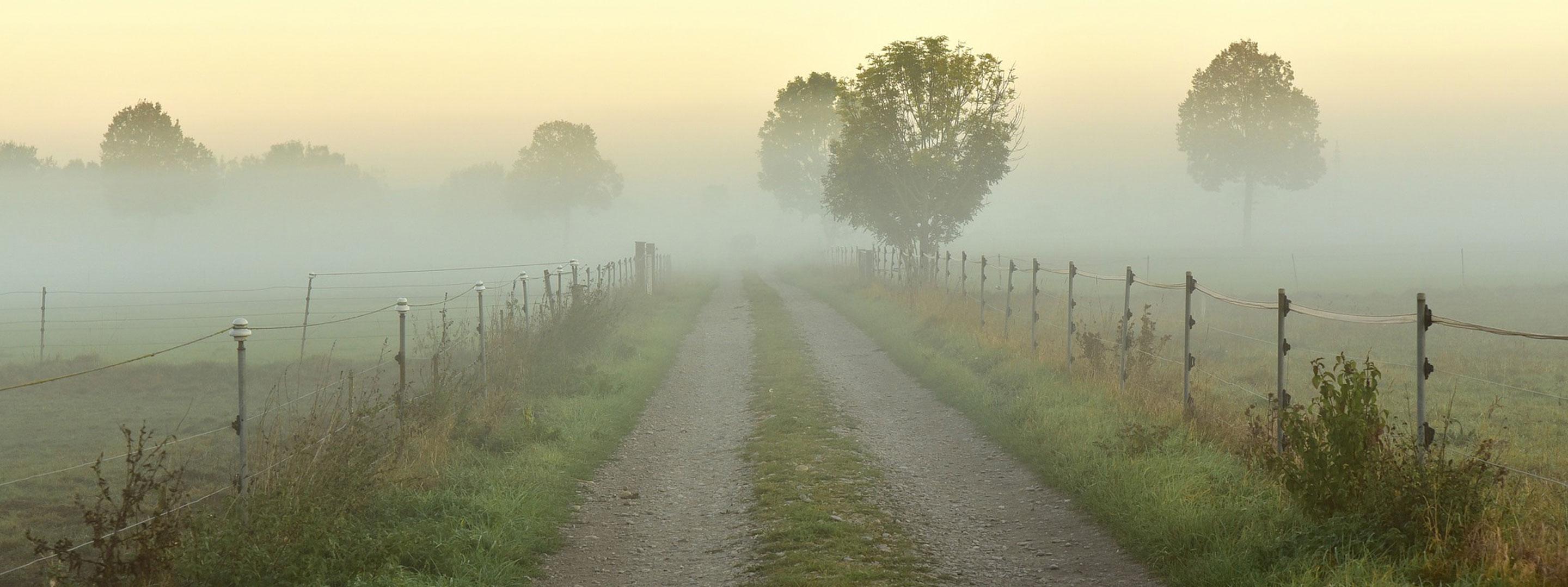 Nebbia e brina sulla strada sterrata